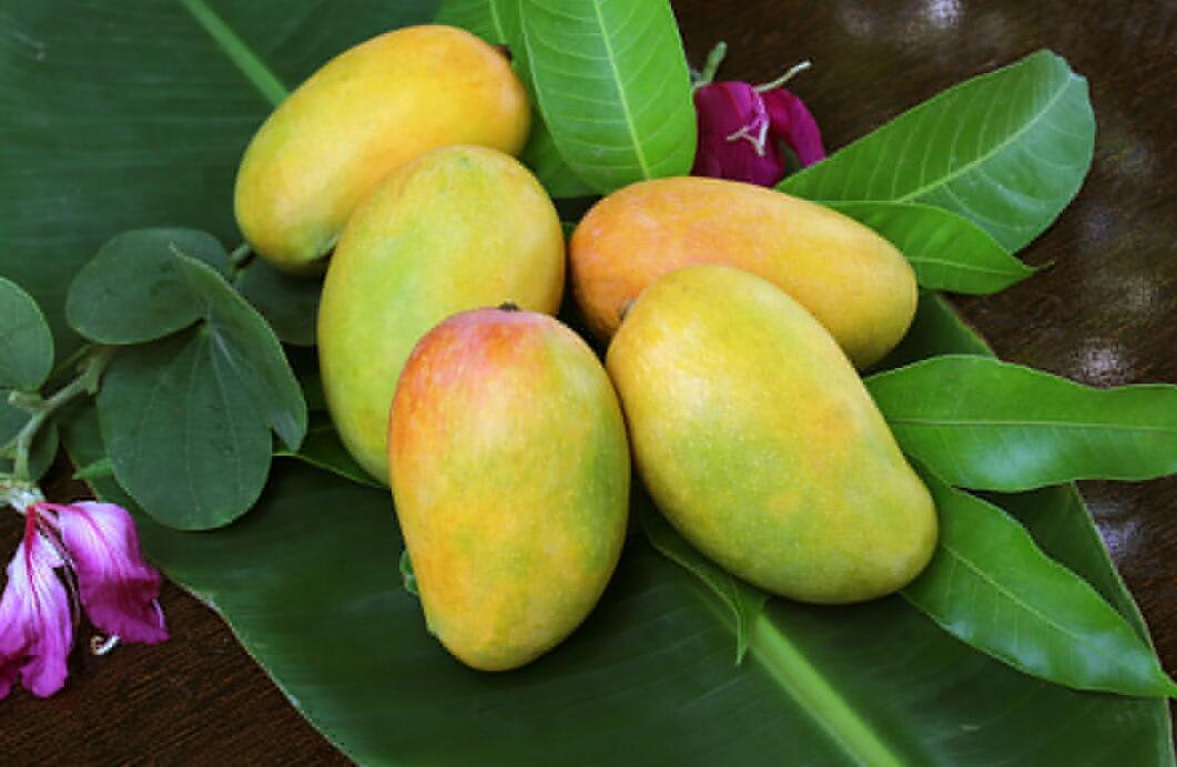 Mangos