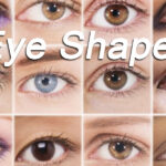 20 Easy Step By Step Eyeshadow Tutorials for Beginners