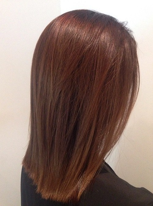 Straight and Sleek Chestnut Bob - Medium Straight Hairstyle for Girls