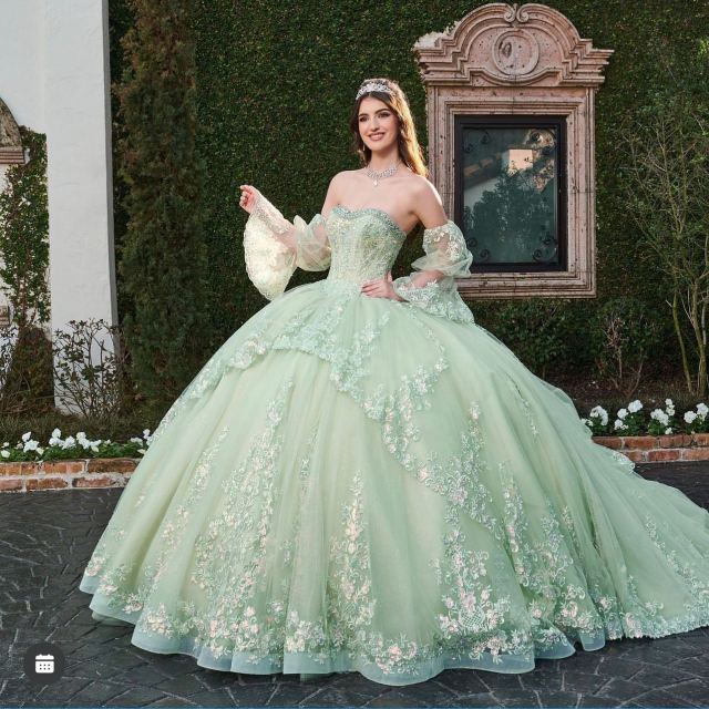 Quinceanera dress 9