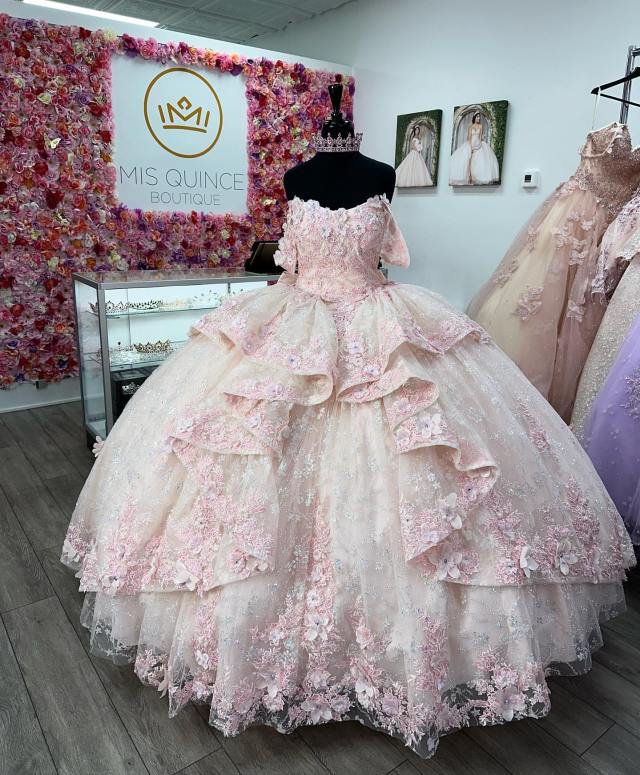 Quinceanera dress 10